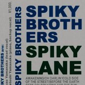 Spiky Lane