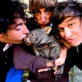 The Wombats with wombat