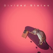 Divided States