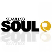The World in My Eyes (feat. Jono McNeil) [Seamless Soul]