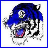 Blue-Tiger 的头像