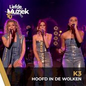 Hoofd in de wolken (uit Liefde Voor Muziek) [Live] - Single