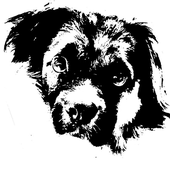 Avatar for benhardtchloe