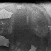 0026346023_10.jpg