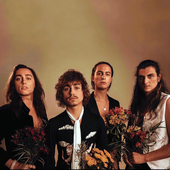 Greta Van Fleet | 2020 (PNG optimized)