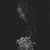 ddbc5bb8372c76dc114af521839577e0.png