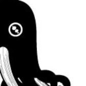 squidelephant için avatar