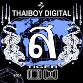 thaiboy tiger.jpg
