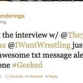 ProWrestlingPonderings.com