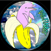 dolfinoy.PNG