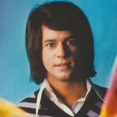 Simon Butterfly