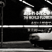 joaofilhou 的头像