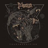 Transmogrified