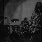 Disbrigade live