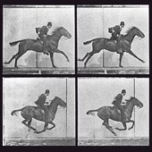Every_Frame_a_Painting_icon.jpg