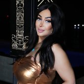 Shahinaz 7a.jpg