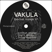 Quantum Voyage