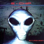E-Chip