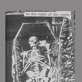In the Ruins of the Castle