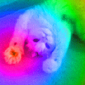 Avatar for LittleImp