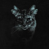 too scared to explain