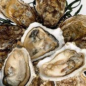 Oysterz