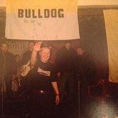 Bulldog