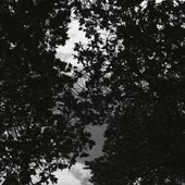 depresión (freestyle) - Single