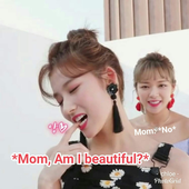 CheeseKimbapTW 的头像
