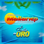 Éxitos de Oro