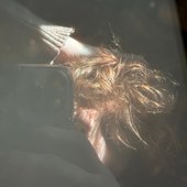 Spotify picture