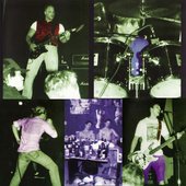 Bandog Collage