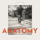 Anatomy