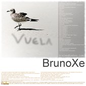 Vuela cover