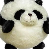 maxipoemie 的头像