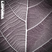 The Last Leaf on the Tree - Single