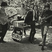 The Seeds