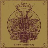 Cosmic Awakening