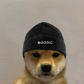 EvilMoodic 的头像