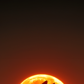 Avatar for Nishanthkr1409