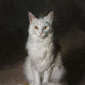 Аватар для QwQ_qwq