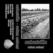 Rotten Onions