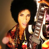 131115_prince_tour_postponed_touts_750.jpg