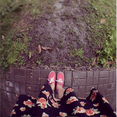 Pinkjungle_ 的头像