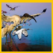 PSYCHE BIRDS (Original Motion Picture Soundtrack)