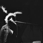Blackrabit