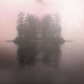 swan lake