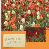 BROTHER CEPHUS [Explicit]