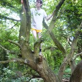 Tree climbing