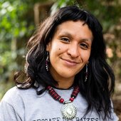 cópia de brisa_flow_004.jpg